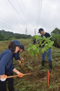 naturgy medio ambiente