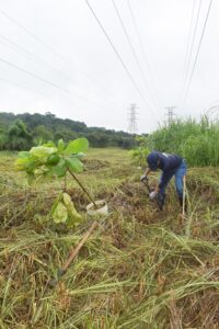 naturgy medio ambiente compromiso