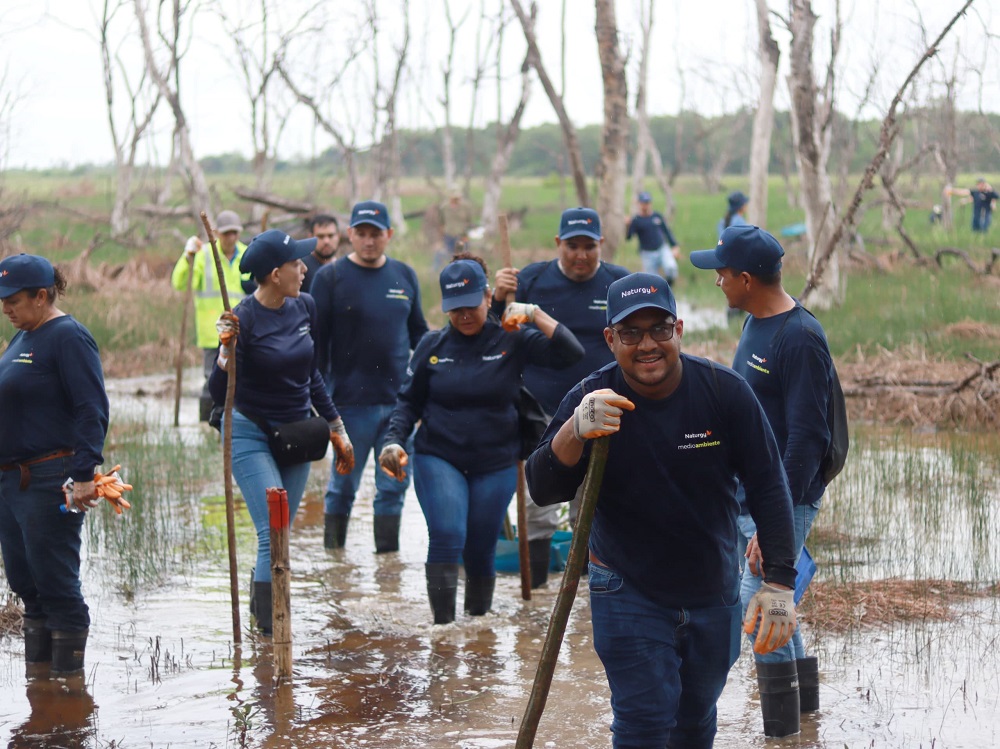 Naturgy realiza jornada de restauracion ecologica