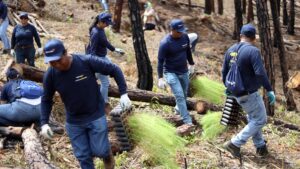 Naturgy junto a funcionarios del Ministerio de Ambiente y grupos comunitarios