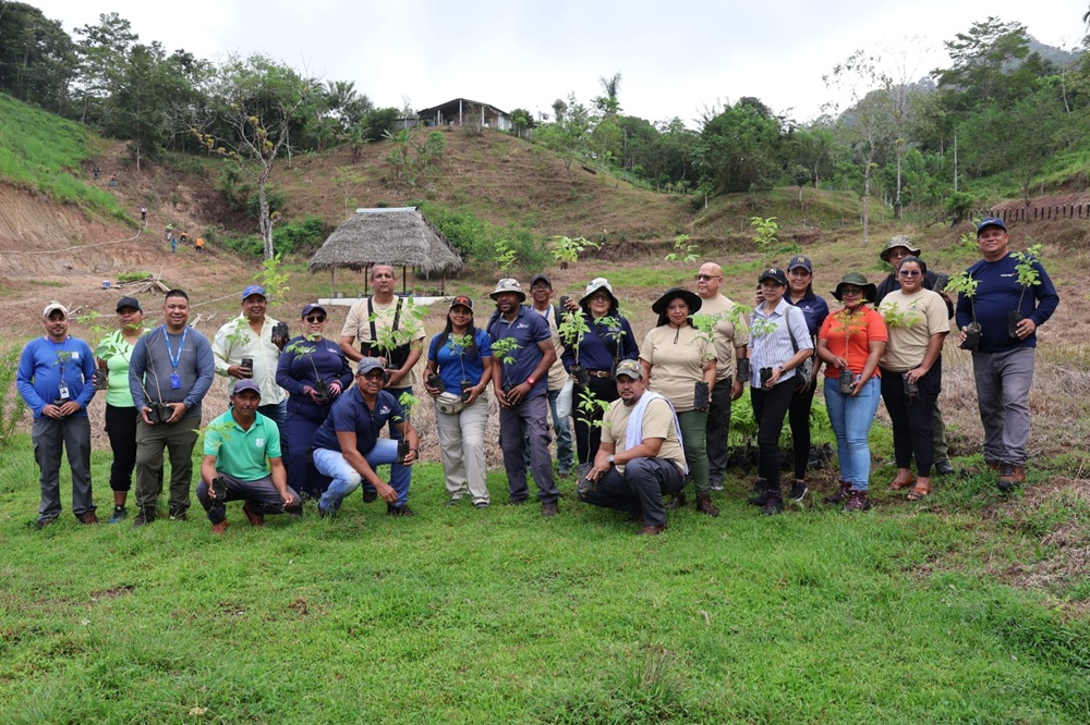 Naturgy participa en jornada de reforestación de MiAMBIENTE para contribuir a la protección de las fuentes hídricas en Panamá Oeste 1 Naturgy participa en jornada de reforestacion de MiAMBIENTE