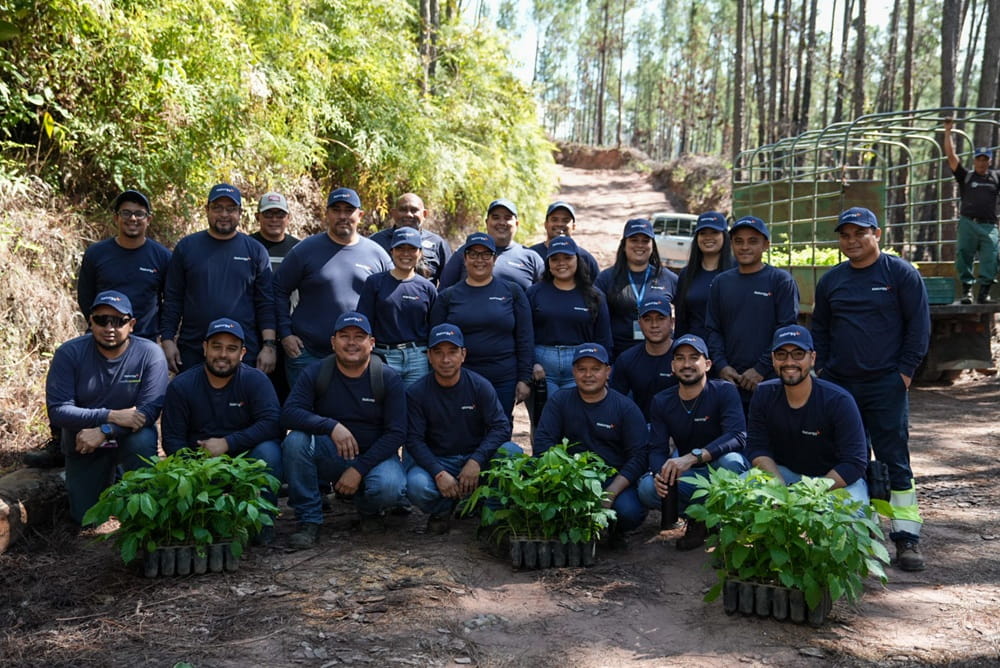 Reserva Forestal La Yeguada