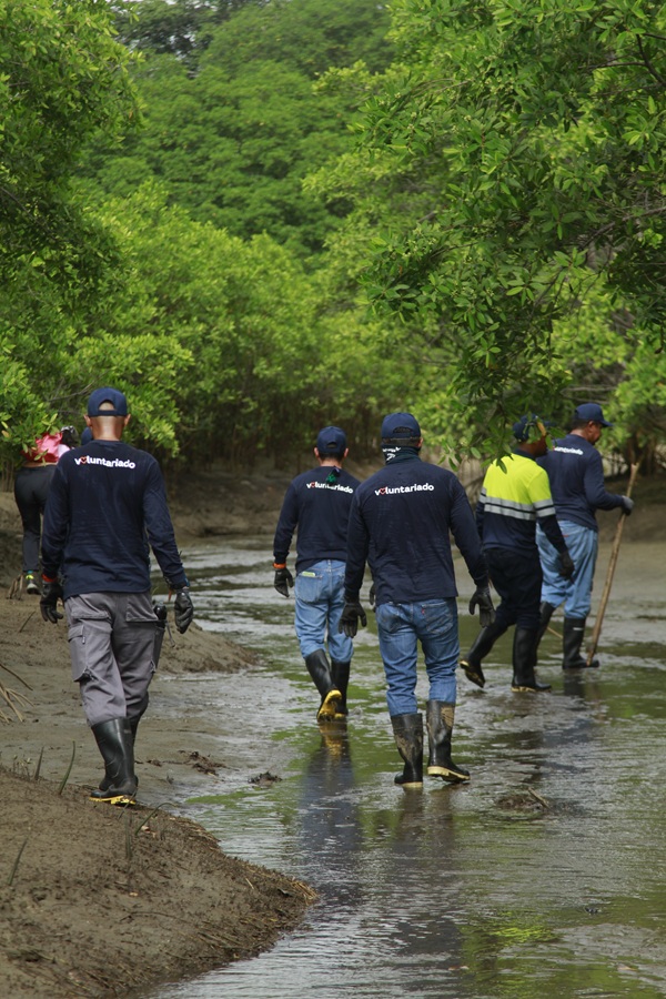 Playa Rincon Voluntarios de Naturgy