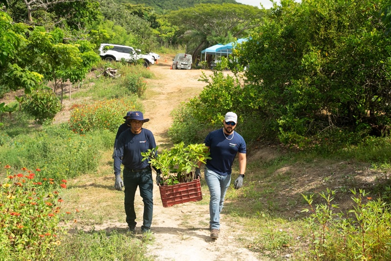 En Naturgy seguimos sumando acciones por la conservación de nuestros recursos naturales 4 jornada de reforestacion